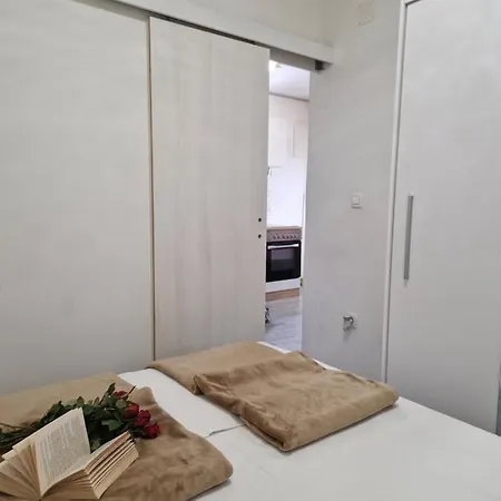 Raccoon Ae1591 سبليت